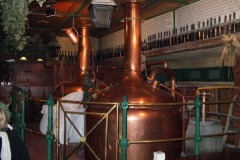 Novomestsky-autor-Jiří-Pertlík-2008-05