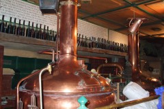 Novomestsky-autor-Jiří-Pertlík-2008-06