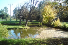 Staré Sedliště Panský Luděk Gasseldorfer, listopad 2010 01