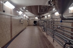 pardubice2023_Hynek-Rosenbaum-09