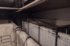 pardubice2023_Hynek-Rosenbaum-10