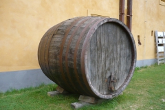 Lobeč 11