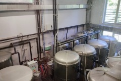 pecky2023_Hynek-Rosenbaum-02