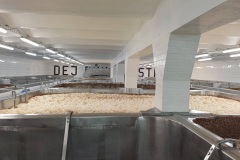 ostravar06