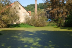 Bolechovice-autor-Jiří-Pertlík-září-2011-35