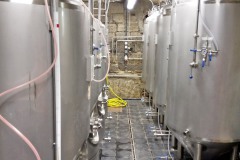 novybor_Jiří-Dlouhý-04