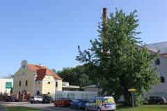 breclav-autor-Filip-Vrána-květen-2013-06