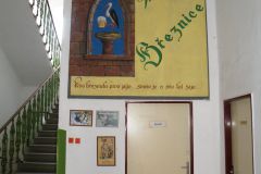 březnice-autor-Vladislav-Kopřiva-28.7.2011-07