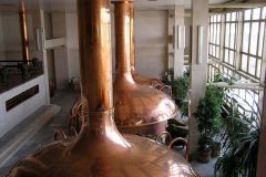 Budvar-autor-Luboš-Lambert-05