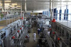Budvar-autor-Luboš-Lambert-07