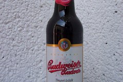 l_budvar_tm