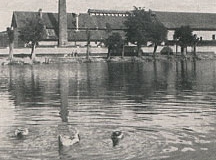 Buštěhrad 10