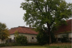 bzí-05