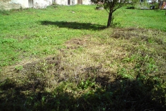 Čečovice Luděk Gasseldorfer, 2011 01