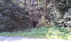 Čečovice Luděk Gasseldorfer, 2011 03