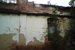 Čeminy Luděk Gasseldorfer, říjen 2010  11