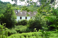 Česká Bříza autor Luděk Gasseldorfer, léto 2011  02