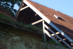 Český-Rudolec-autor-Jiří-Pertlík-léto-2012-23
