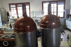 chodovar2023_Petr-Vondra-04