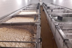 chodovar2023_Petr-Vondra-05