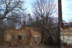 chotýšany-autor-Jiří-Pertlík-březen-2011-14