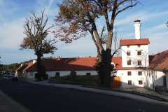 dacice_pansky_Petr-Cikryt-2021-01