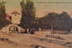 dešenice-01