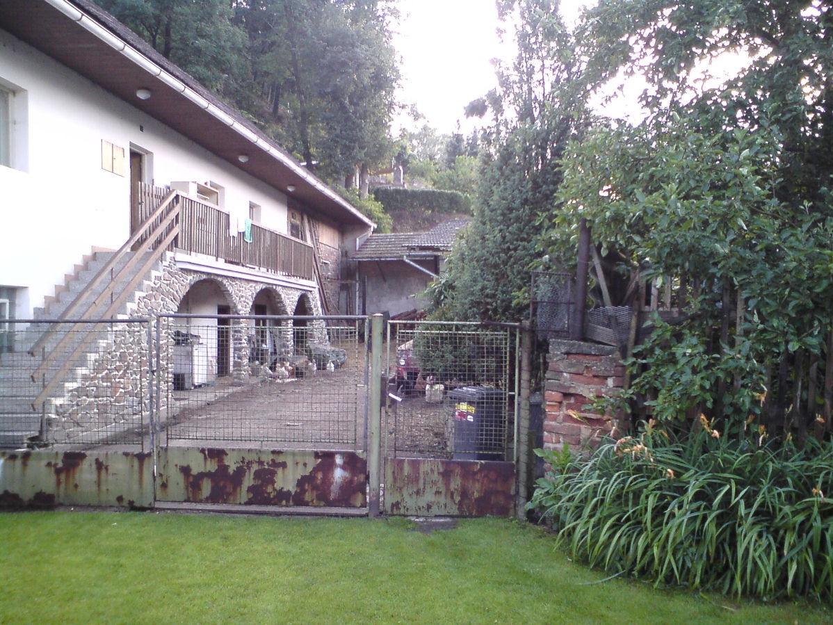 Dolní Bělá autor Luděk Gasseldorfer, léto 2011