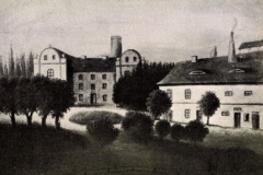 dolni-prim-01