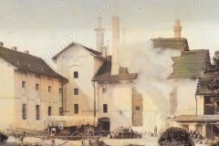 doubí-1901
