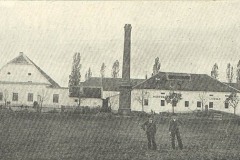Dukovany_hist