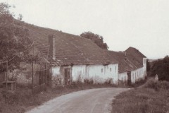 Habri_01