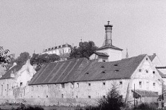 kacovdad