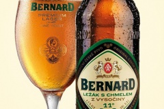 bernard_Lezaks-chmelemzVysociny