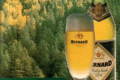 obrbernard