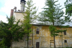 Janovice-u-Rýmařova-26.7.2009-09
