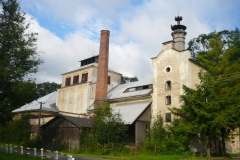 Janovice-u-Rýmařova-26.7.2009-15