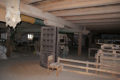 Jevíčko-Akciový-autor-Filip-Vrána-jaro-2011-43