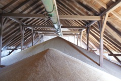 Jevíčko-Akciový-autor-Filip-Vrána-jaro-2011-52