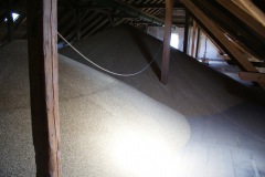 Jevíčko-Akciový-autor-Filip-Vrána-jaro-2011-53