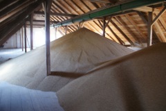 Jevíčko-Akciový-autor-Filip-Vrána-jaro-2011-54