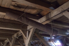 Jistebnice autor Jiří Pertlík, červenec 2009 09