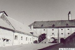 Kokory_1991