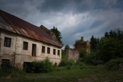 konojedy-02