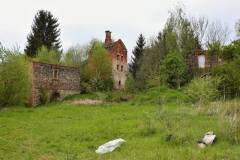 konojedy