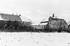 konojedy02