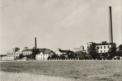Kostelec-nad-Labem_Pivety