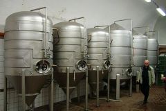Kout-na-Šumavě-autor-R.-Váňa-01