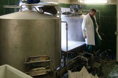 Kout-na-Šumavě-autor-R.-Váňa-02