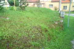 Krašovice autor Luděk Gasseldorfer, léto 2011 03